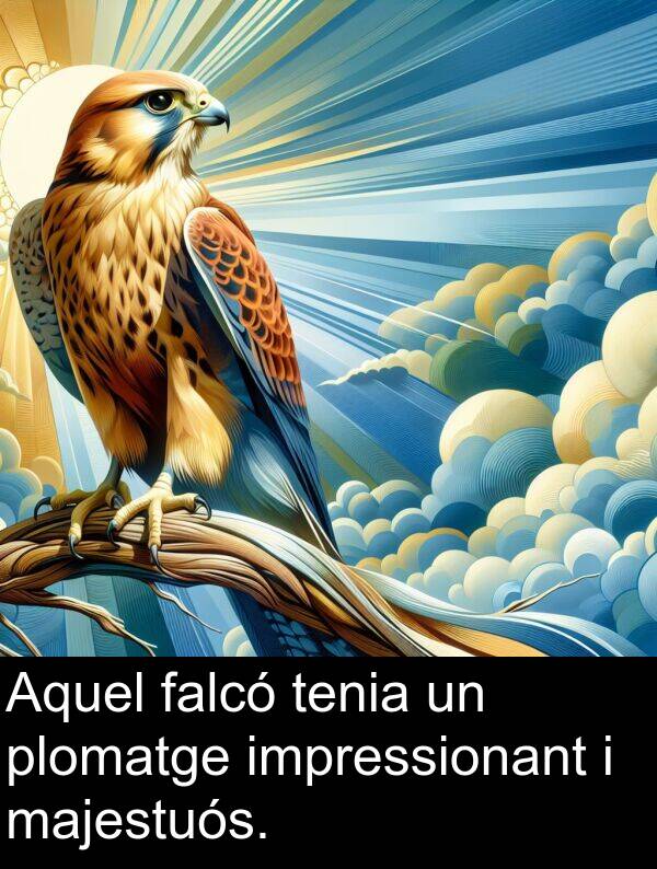 falcó: Aquel falcó tenia un plomatge impressionant i majestuós.