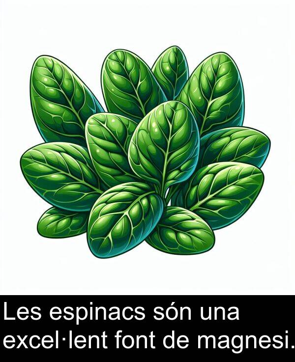 font: Les espinacs són una excel·lent font de magnesi.