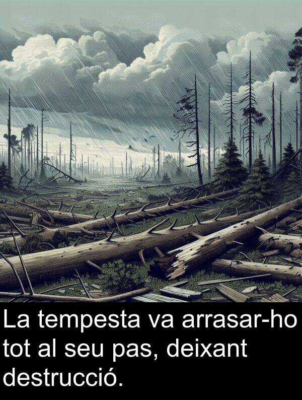 tempesta: La tempesta va arrasar-ho tot al seu pas, deixant destrucció.