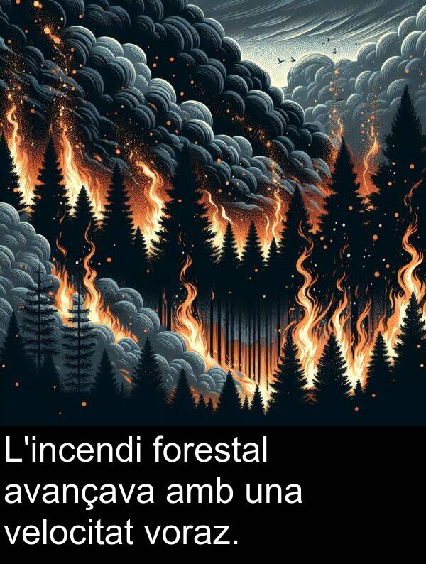 forestal: L'incendi forestal avançava amb una velocitat voraz.