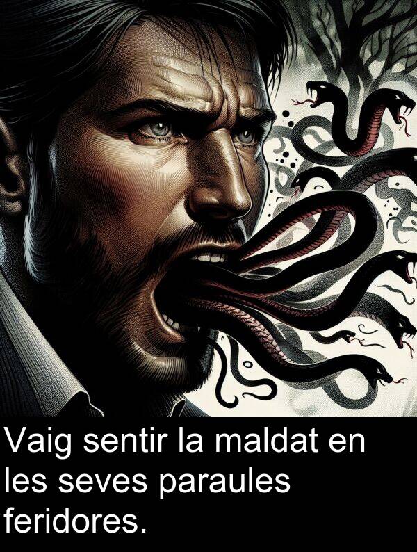 feridores: Vaig sentir la maldat en les seves paraules feridores.