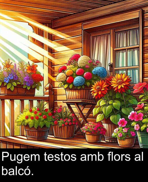 testos: Pugem testos amb flors al balcó.