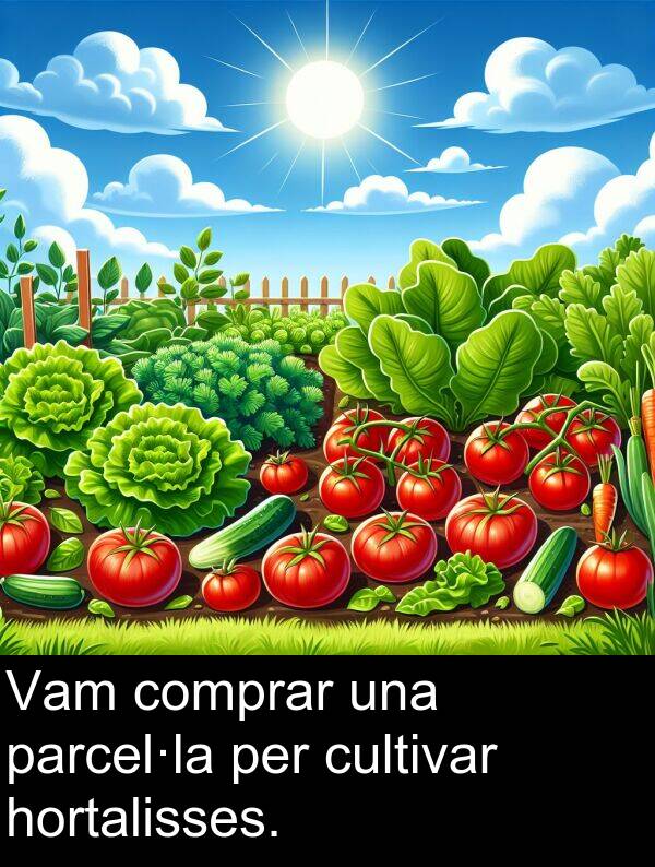 cultivar: Vam comprar una parcel·la per cultivar hortalisses.