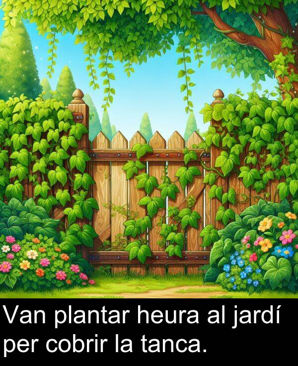 tanca: Van plantar heura al jardí per cobrir la tanca.