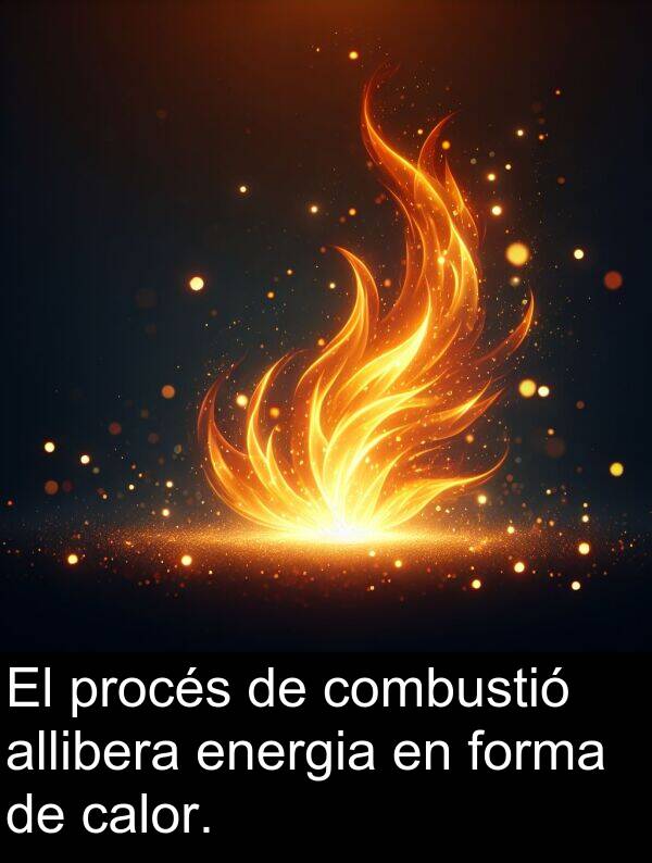 procés: El procés de combustió allibera energia en forma de calor.