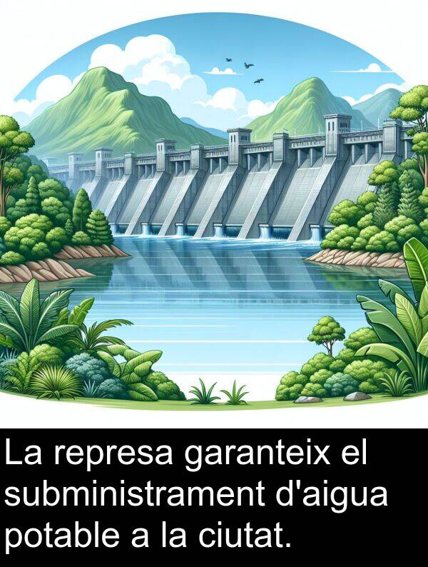 represa: La represa garanteix el subministrament d'aigua potable a la ciutat.