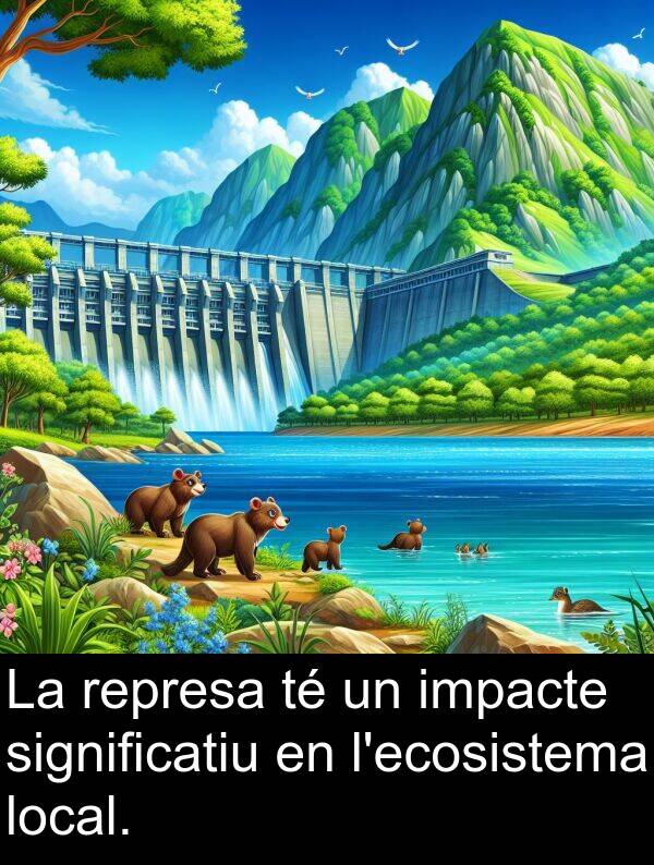 represa: La represa té un impacte significatiu en l'ecosistema local.