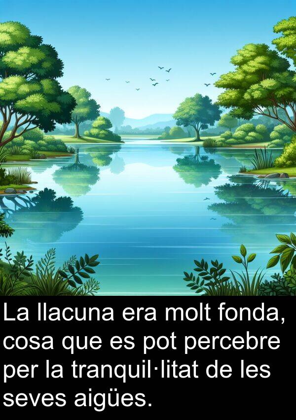 cosa: La llacuna era molt fonda, cosa que es pot percebre per la tranquil·litat de les seves aigües.