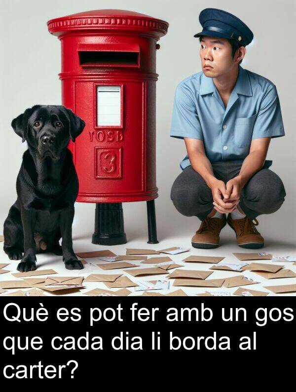 dia: Què es pot fer amb un gos que cada dia li borda al carter?