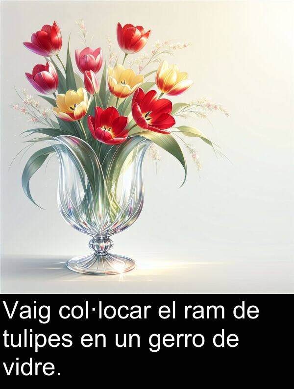 vidre: Vaig col·locar el ram de tulipes en un gerro de vidre.