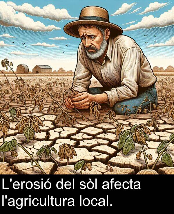 sòl: L'erosió del sòl afecta l'agricultura local.