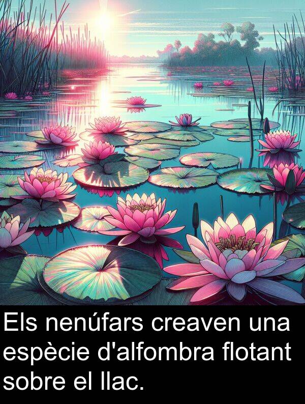 nenúfars: Els nenúfars creaven una espècie d'alfombra flotant sobre el llac.