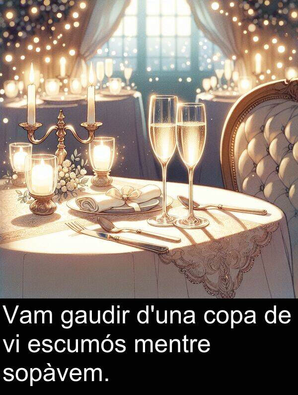 gaudir: Vam gaudir d'una copa de vi escumós mentre sopàvem.