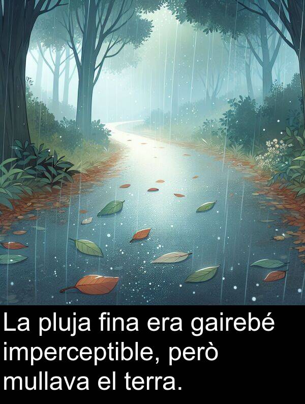 terra: La pluja fina era gairebé imperceptible, però mullava el terra.