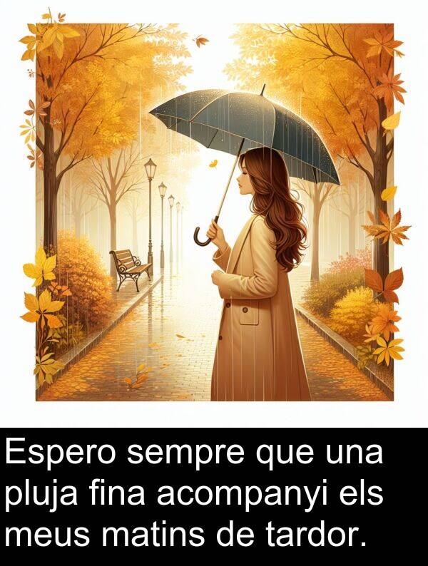 tardor: Espero sempre que una pluja fina acompanyi els meus matins de tardor.
