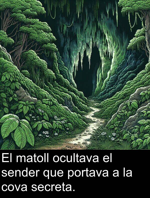 sender: El matoll ocultava el sender que portava a la cova secreta.