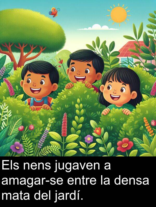jugaven: Els nens jugaven a amagar-se entre la densa mata del jardí.