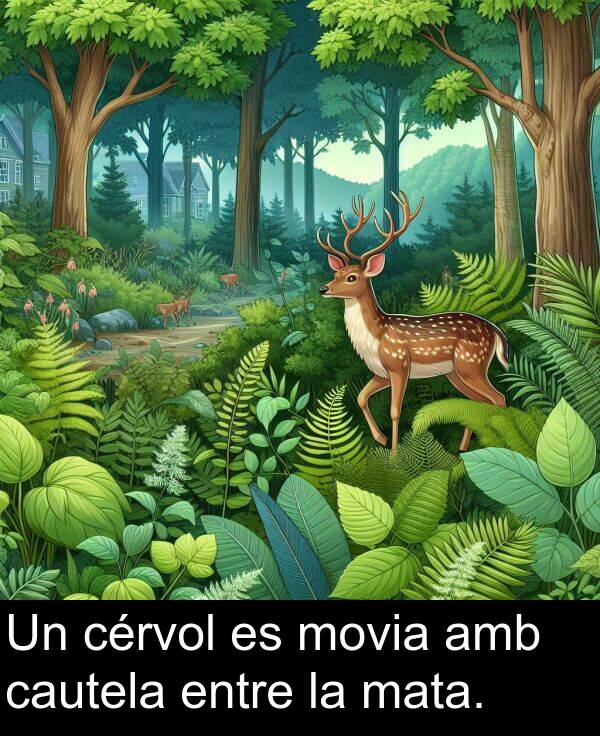 cautela: Un cérvol es movia amb cautela entre la mata.