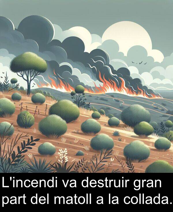 destruir: L'incendi va destruir gran part del matoll a la collada.