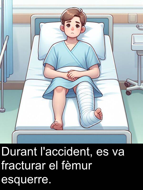 fèmur: Durant l'accident, es va fracturar el fèmur esquerre.
