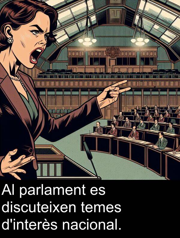temes: Al parlament es discuteixen temes d'interès nacional.