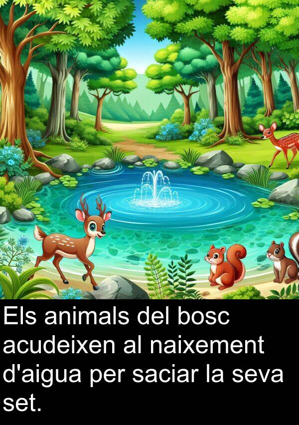 naixement: Els animals del bosc acudeixen al naixement d'aigua per saciar la seva set.