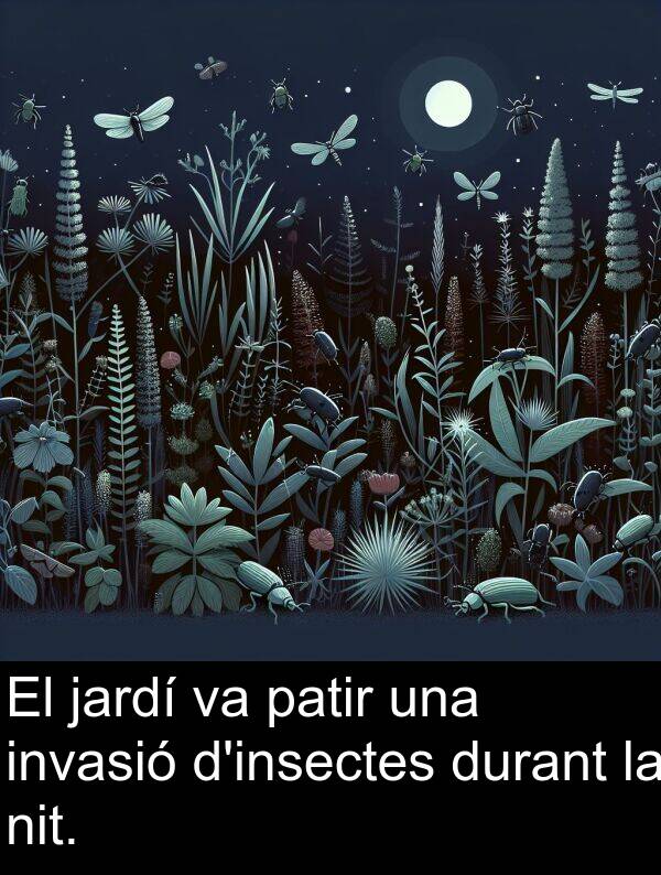 nit: El jardí va patir una invasió d'insectes durant la nit.