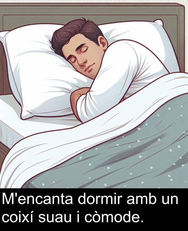 dormir: M'encanta dormir amb un coixí suau i còmode.