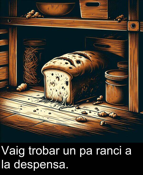 despensa: Vaig trobar un pa ranci a la despensa.