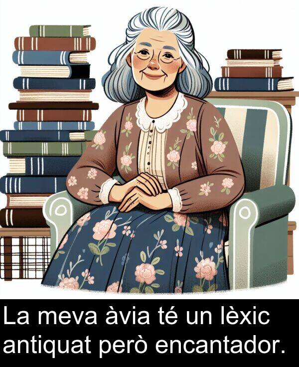 encantador: La meva àvia té un lèxic antiquat però encantador.