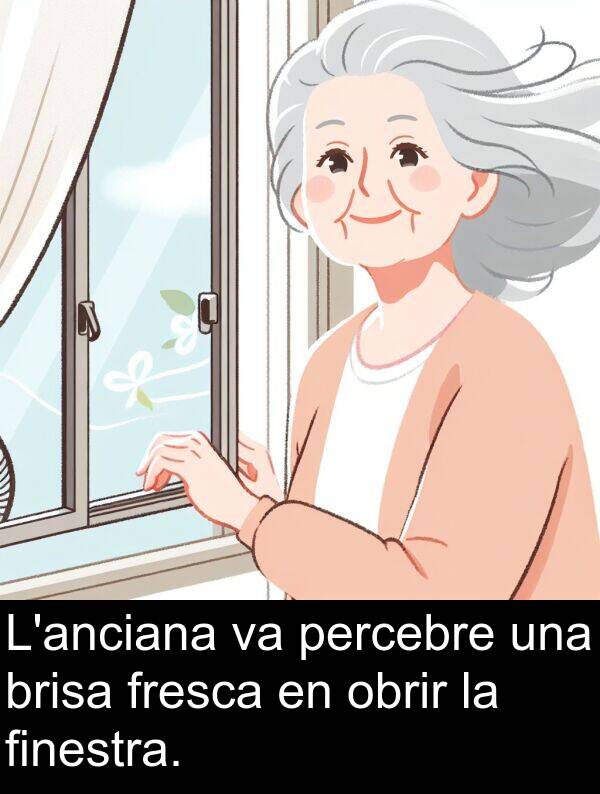 brisa: L'anciana va percebre una brisa fresca en obrir la finestra.