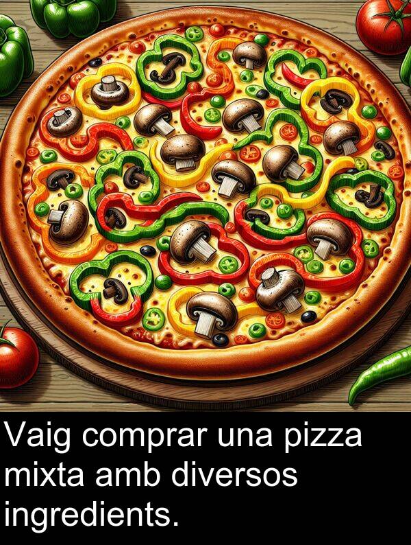 diversos: Vaig comprar una pizza mixta amb diversos ingredients.
