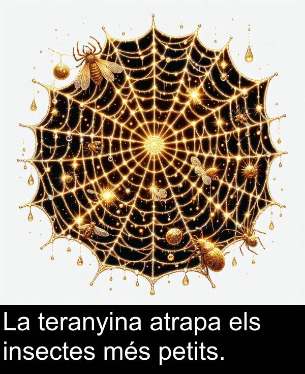 teranyina: La teranyina atrapa els insectes més petits.