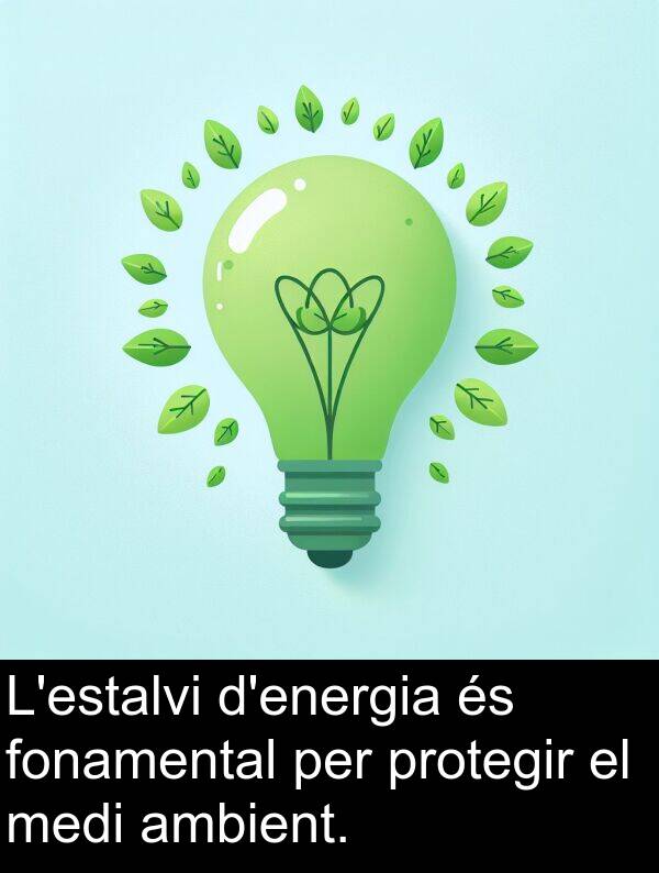 fonamental: L'estalvi d'energia és fonamental per protegir el medi ambient.