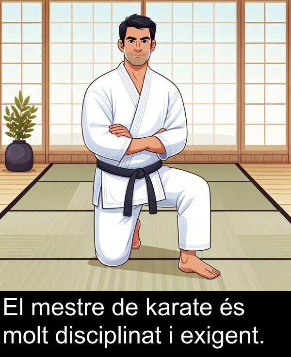 mestre: El mestre de karate és molt disciplinat i exigent.
