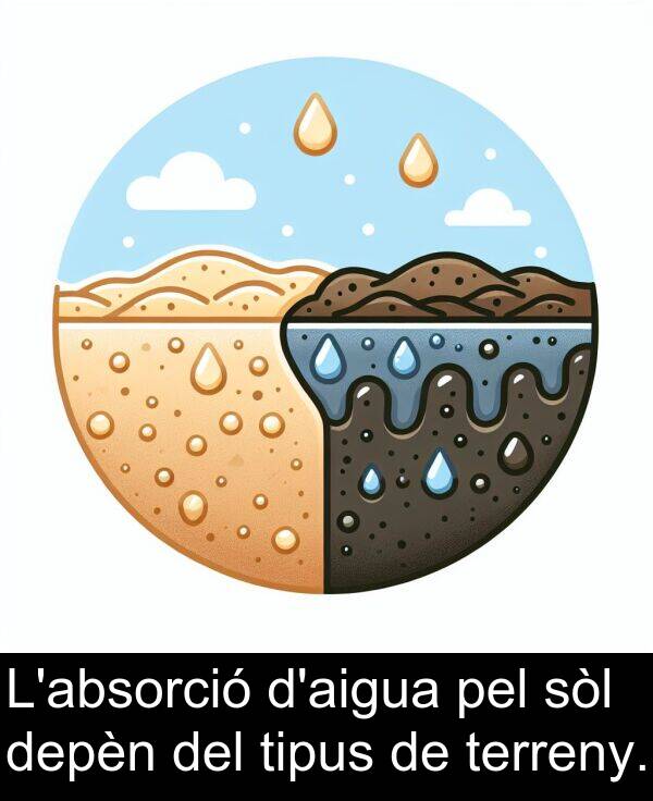 sòl: L'absorció d'aigua pel sòl depèn del tipus de terreny.