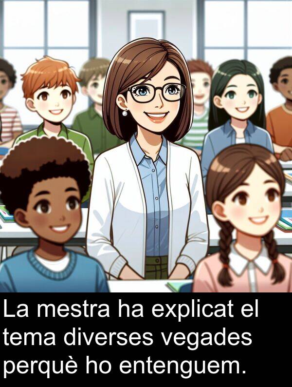 diverses: La mestra ha explicat el tema diverses vegades perquè ho entenguem.