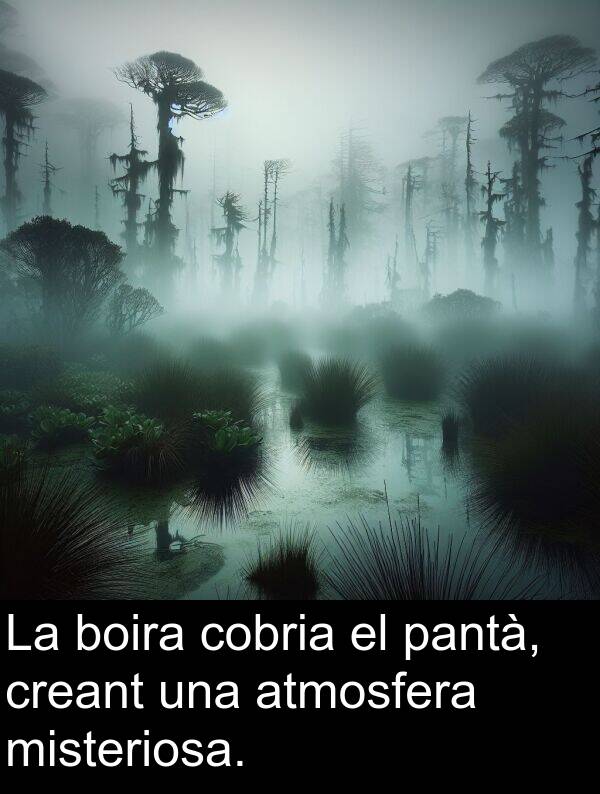 misteriosa: La boira cobria el pantà, creant una atmosfera misteriosa.