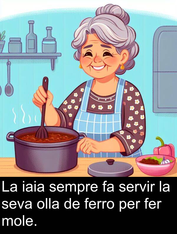 fer: La iaia sempre fa servir la seva olla de ferro per fer mole.