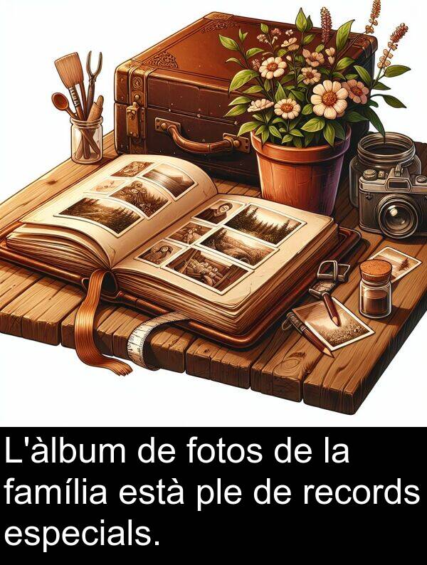 família: L'àlbum de fotos de la família està ple de records especials.