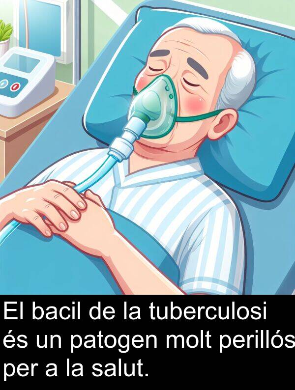 perillós: El bacil de la tuberculosi és un patogen molt perillós per a la salut.