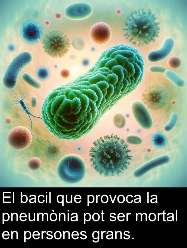 mortal: El bacil que provoca la pneumònia pot ser mortal en persones grans.