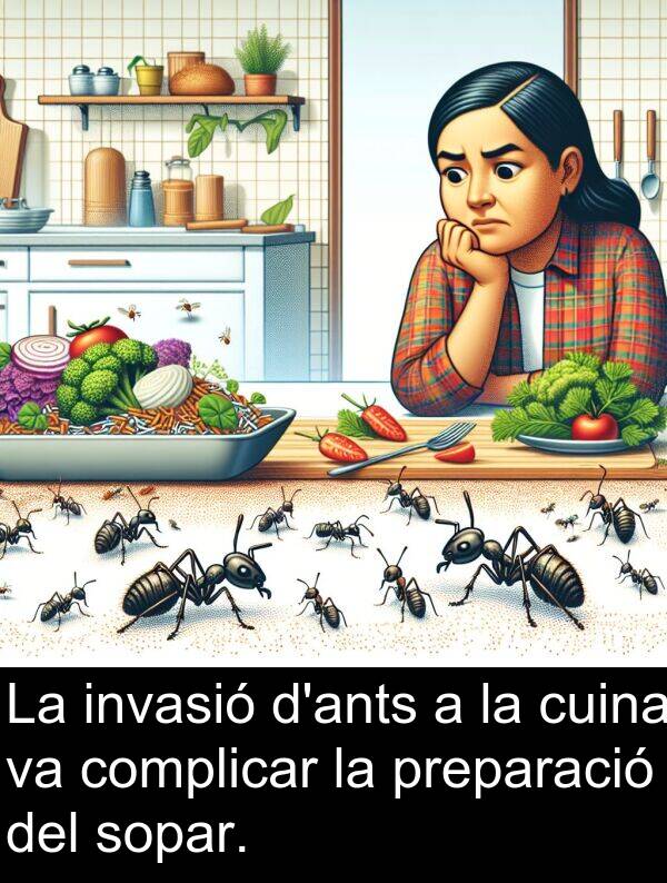 cuina: La invasió d'ants a la cuina va complicar la preparació del sopar.