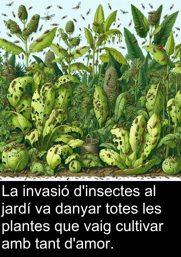 cultivar: La invasió d'insectes al jardí va danyar totes les plantes que vaig cultivar amb tant d'amor.