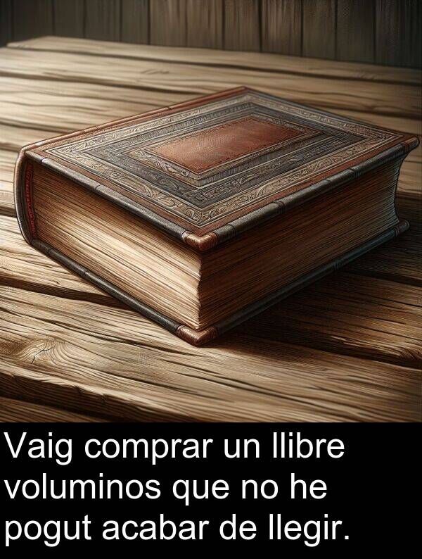 llegir: Vaig comprar un llibre voluminos que no he pogut acabar de llegir.