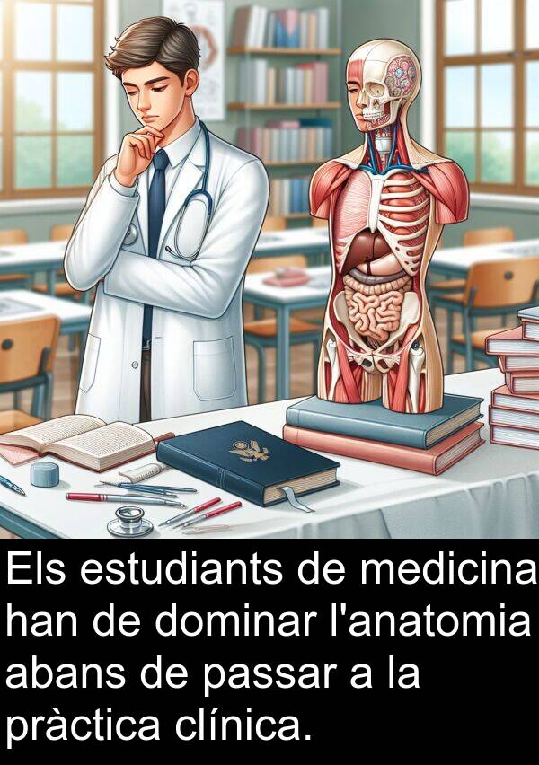medicina: Els estudiants de medicina han de dominar l'anatomia abans de passar a la pràctica clínica.
