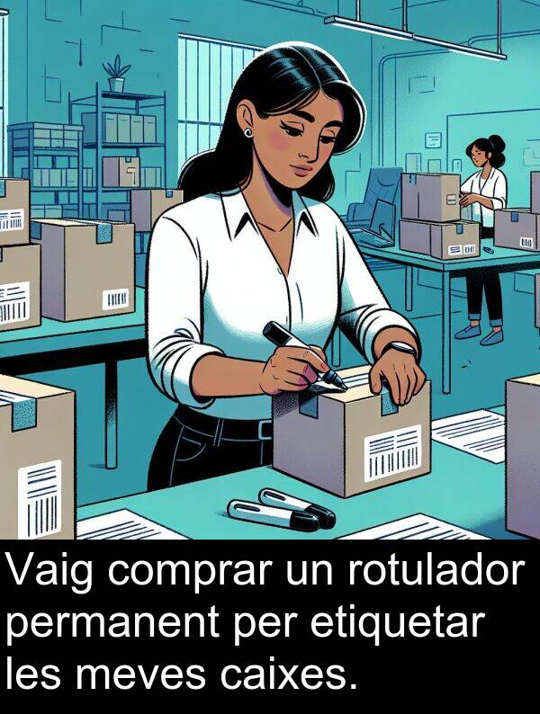 caixes: Vaig comprar un rotulador permanent per etiquetar les meves caixes.
