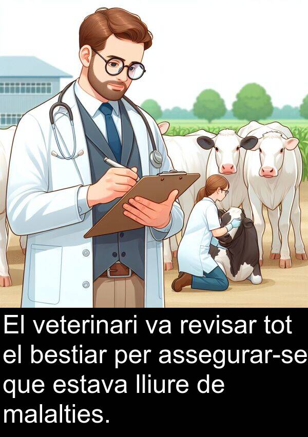 malalties: El veterinari va revisar tot el bestiar per assegurar-se que estava lliure de malalties.