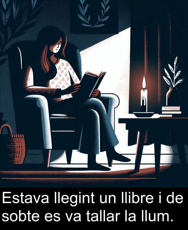 llibre: Estava llegint un llibre i de sobte es va tallar la llum.