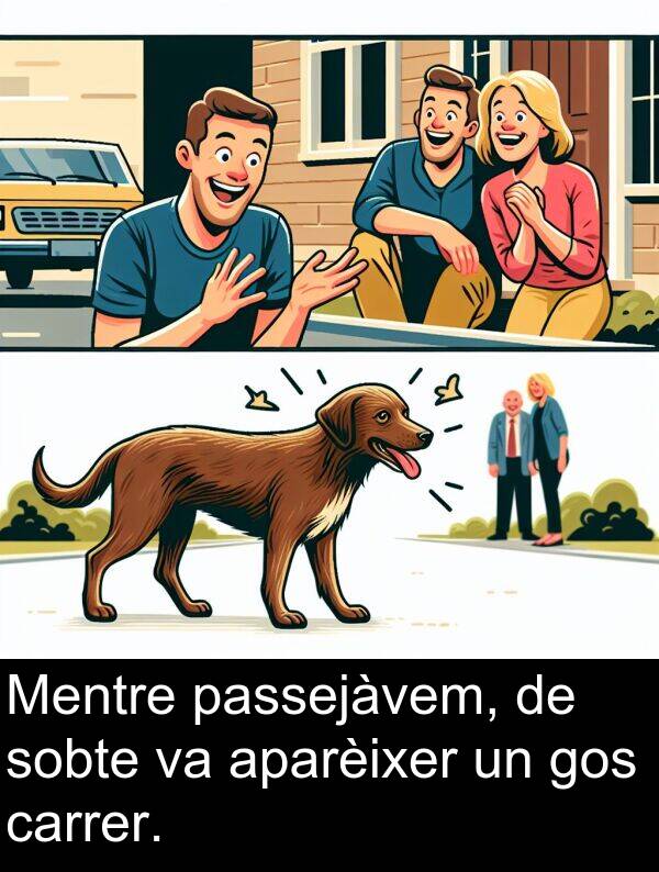 carrer: Mentre passejàvem, de sobte va aparèixer un gos carrer.